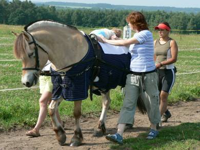 200807091910_podkovicky