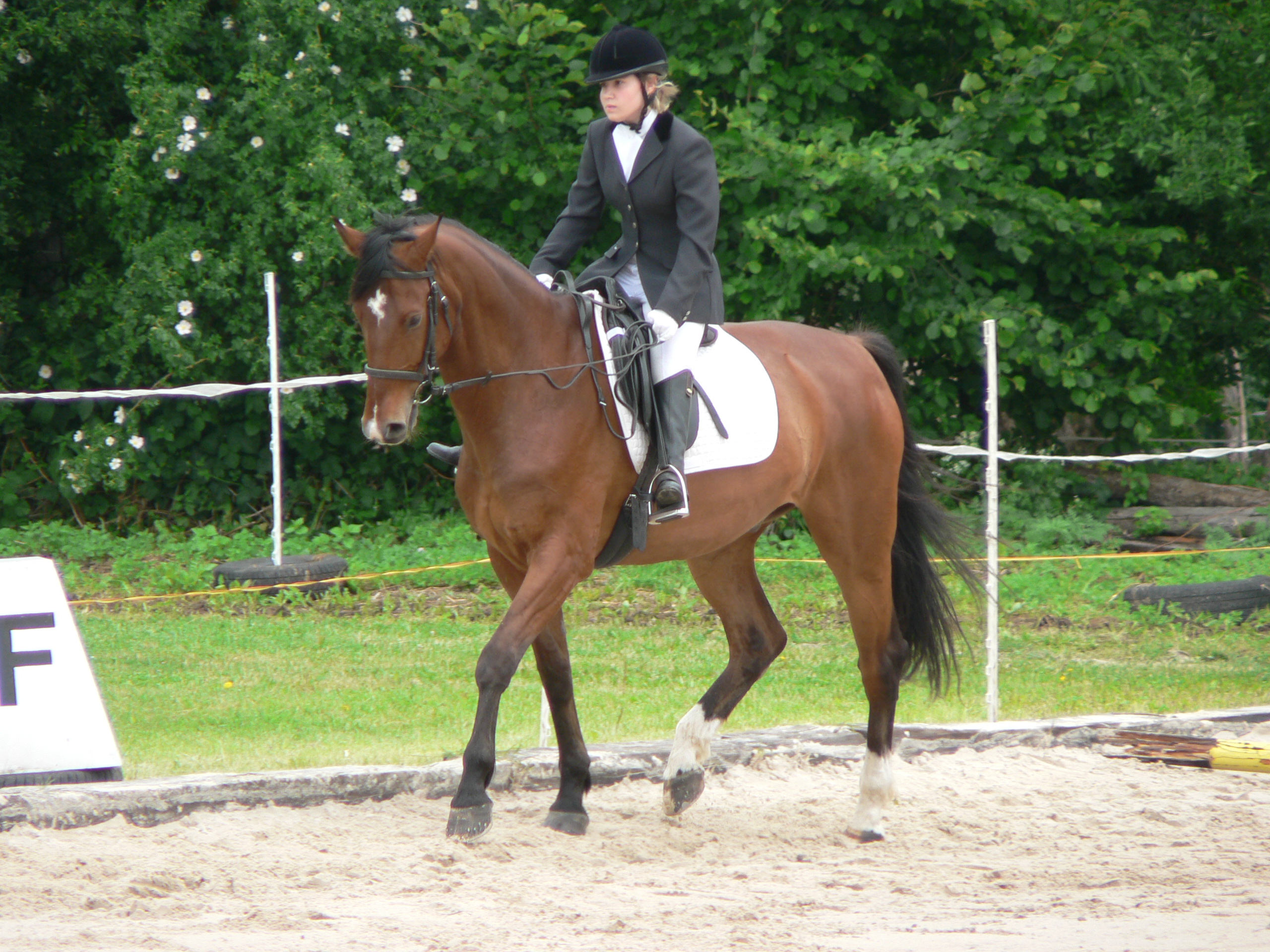 201106161546_P1540941