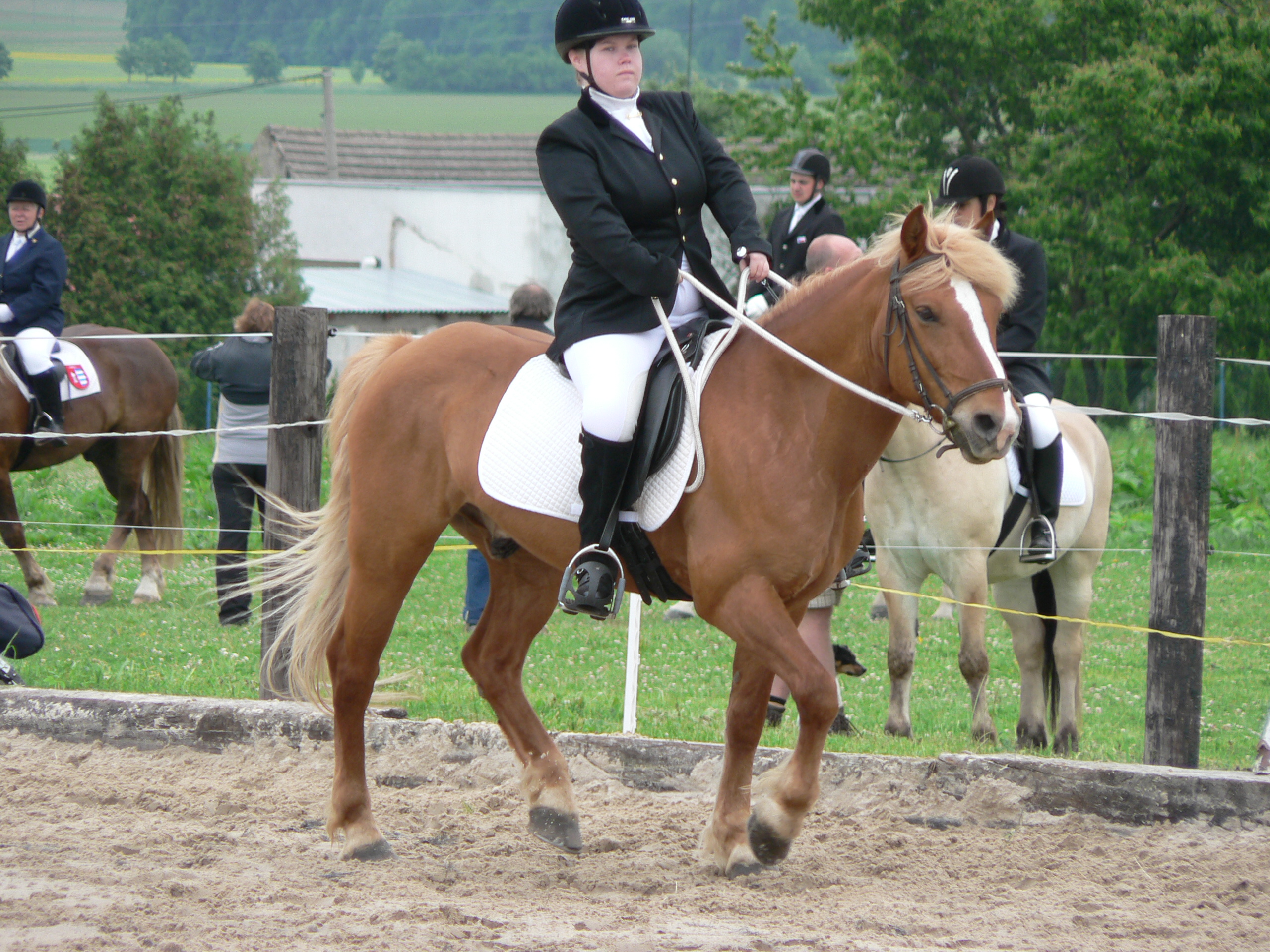 201106161547_P1540946