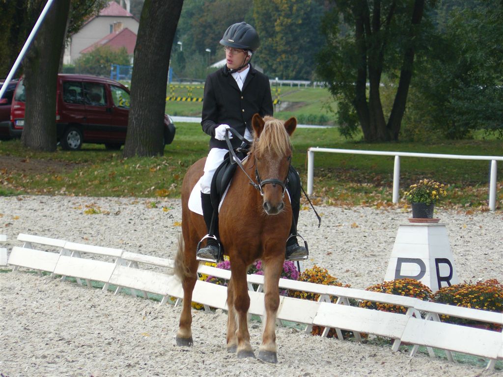 201110201140_P4