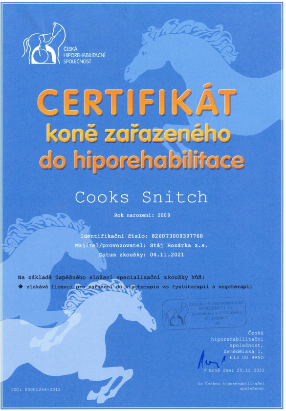 202401071221_Certifikat_Snyc_2021